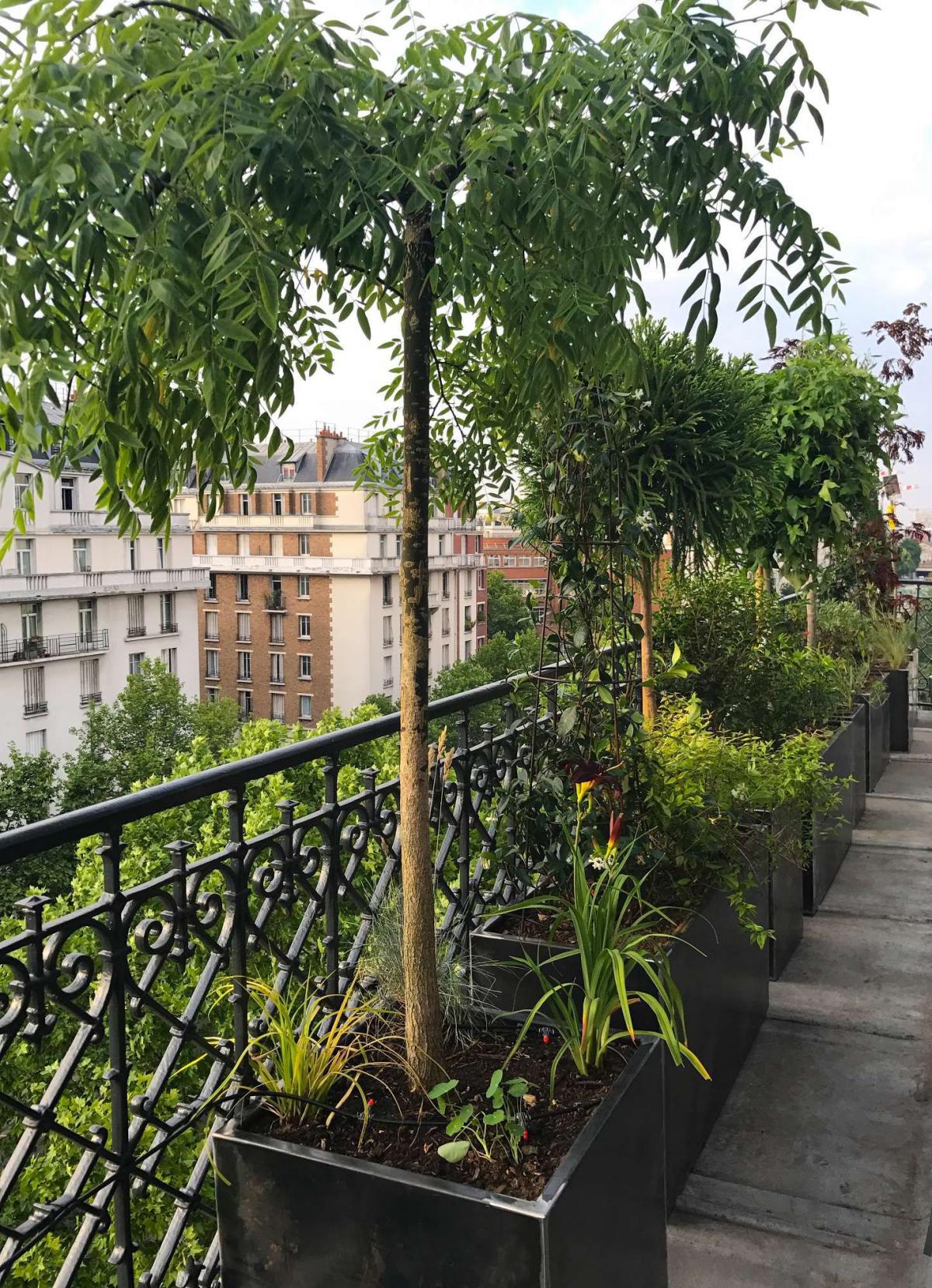 Tendance Corten - Paris 17ème 